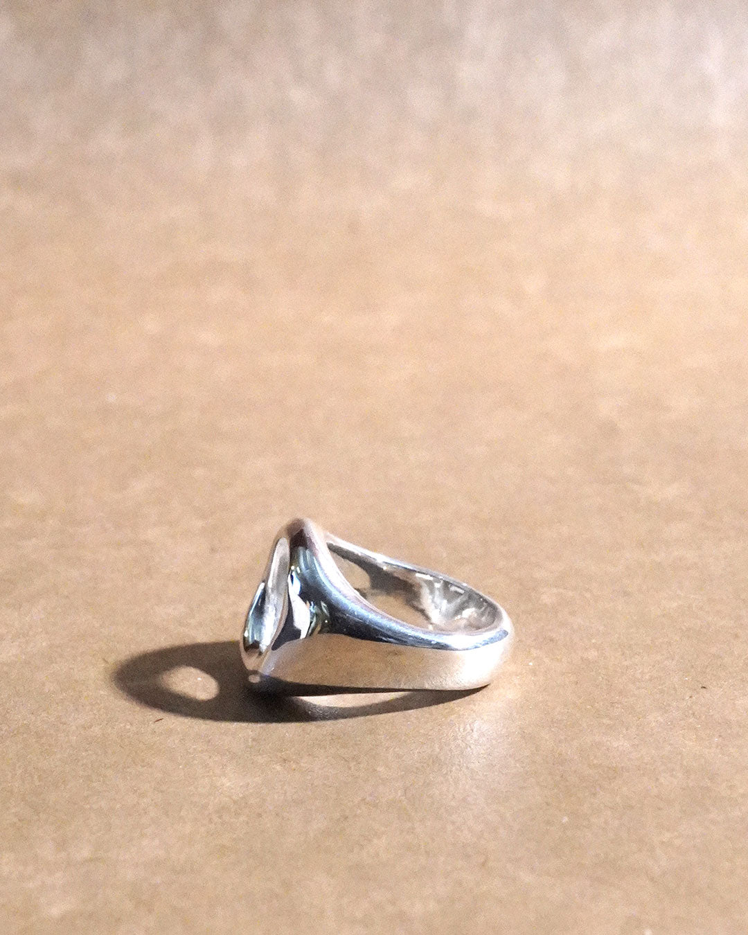nous ring SV