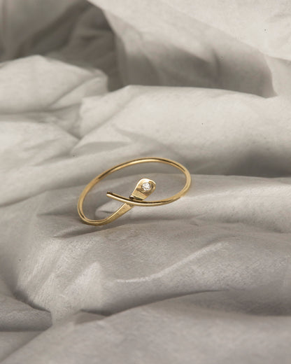 bang dia ring
