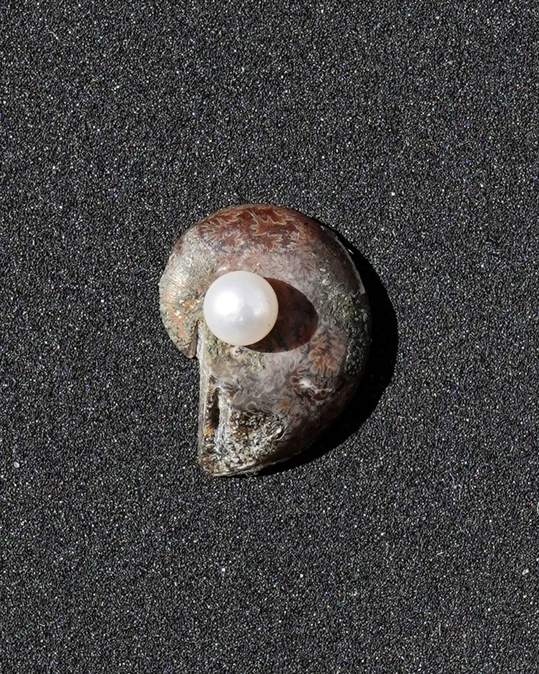 ammonite akoya ring