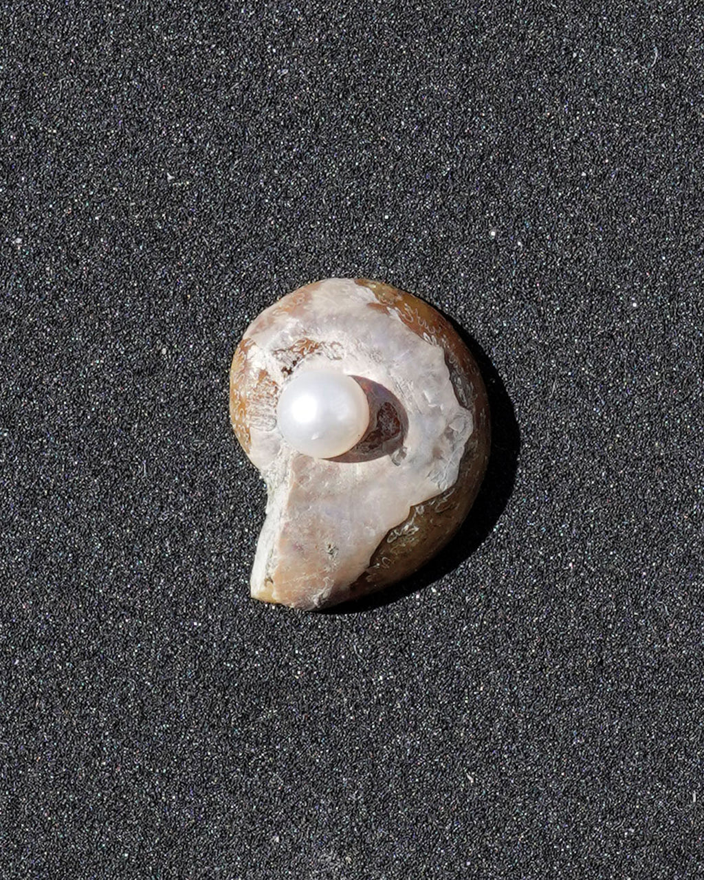 ammonite akoya ring