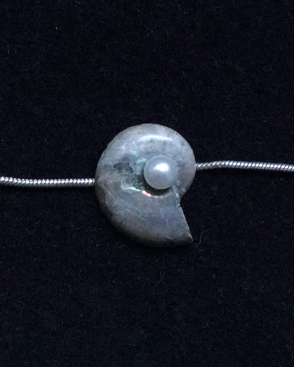 ammonite akoya necklace