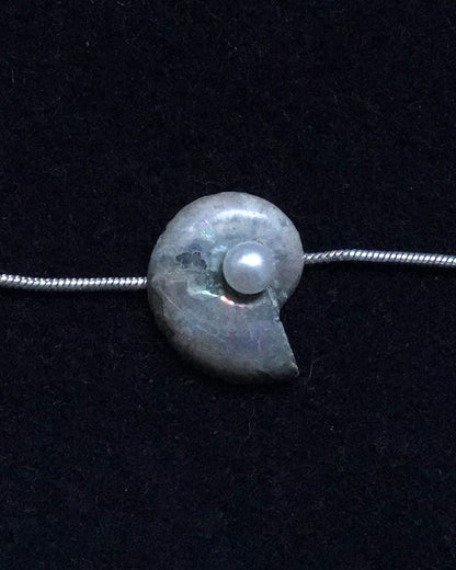 ammonite akoya necklace