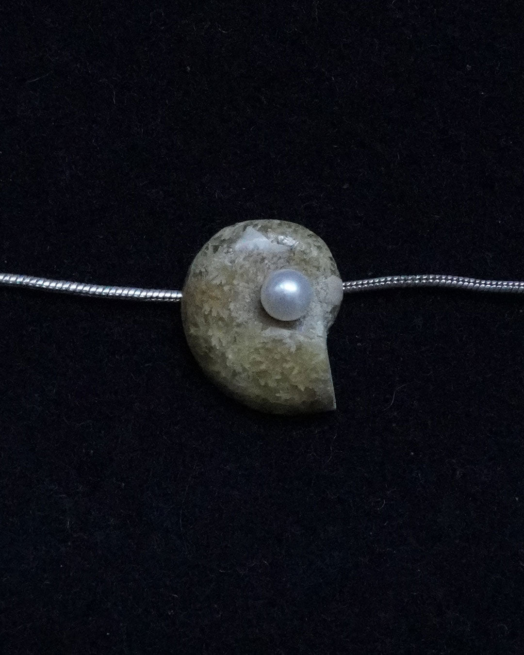 ammonite akoya necklace