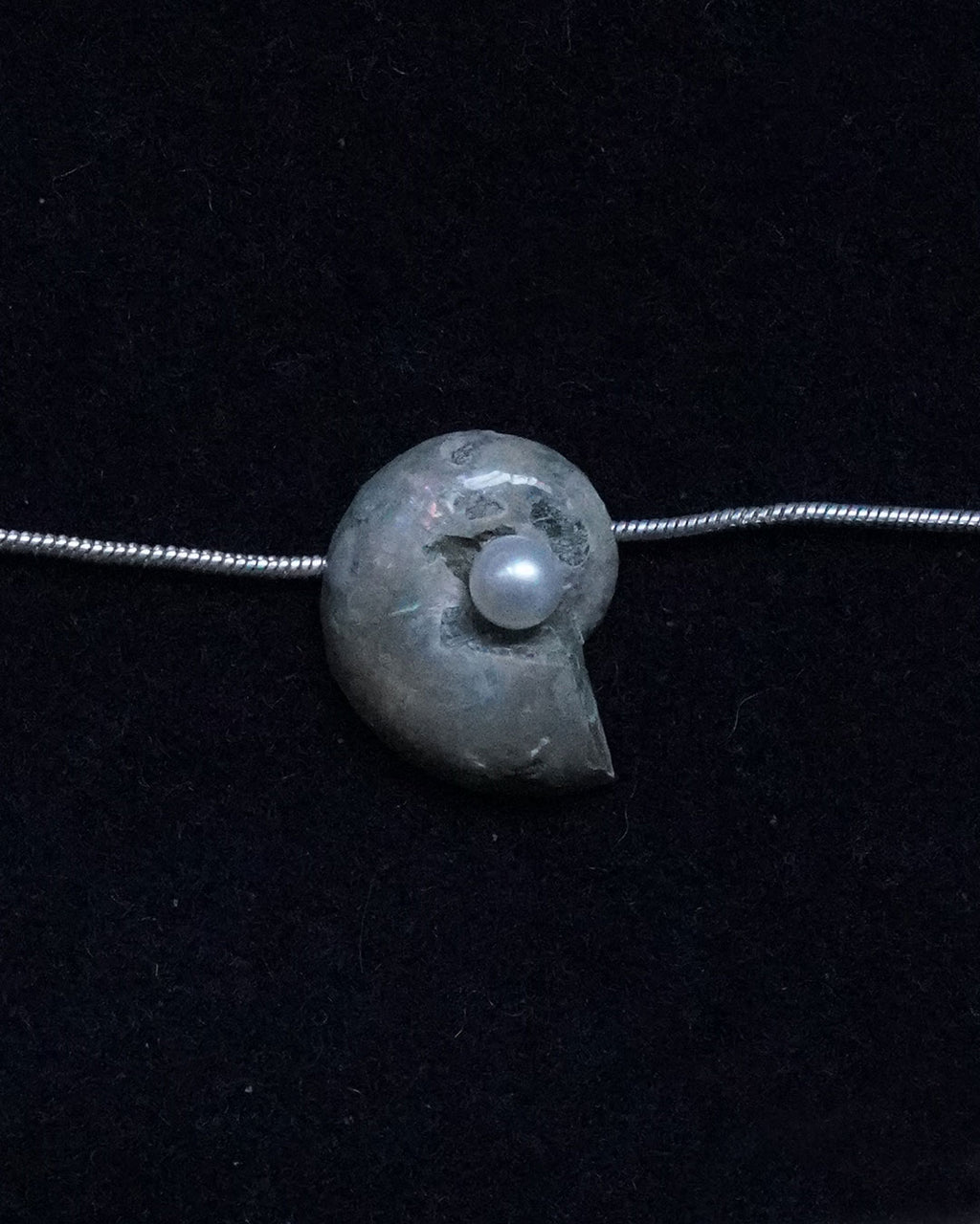 ammonite akoya necklace