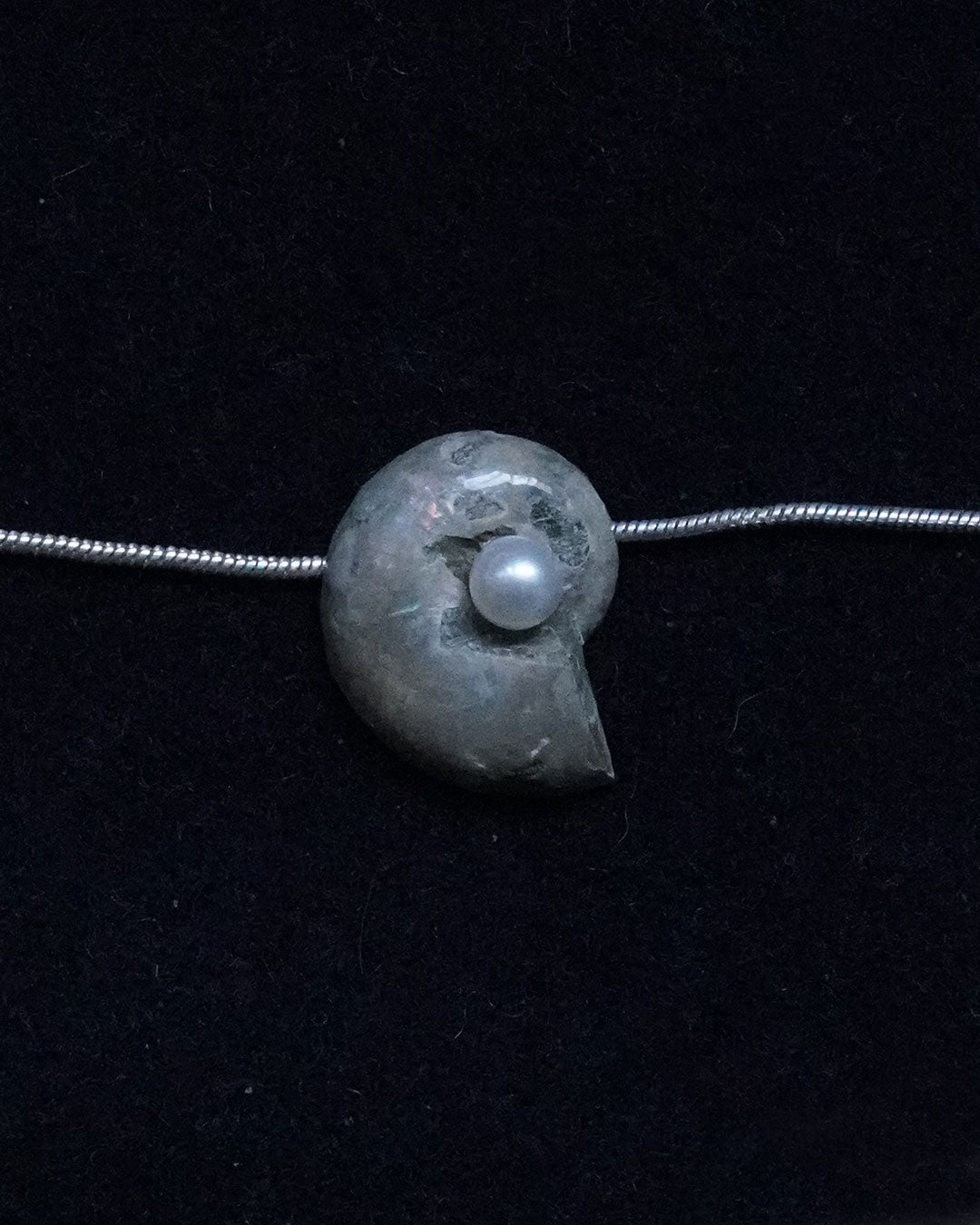 ammonite akoya necklace