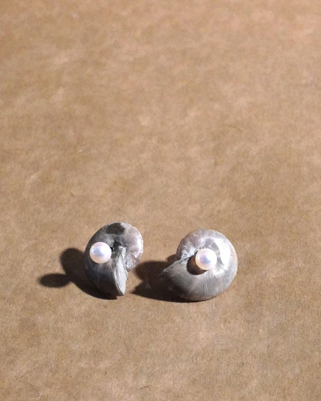 ammonite akoya pierce