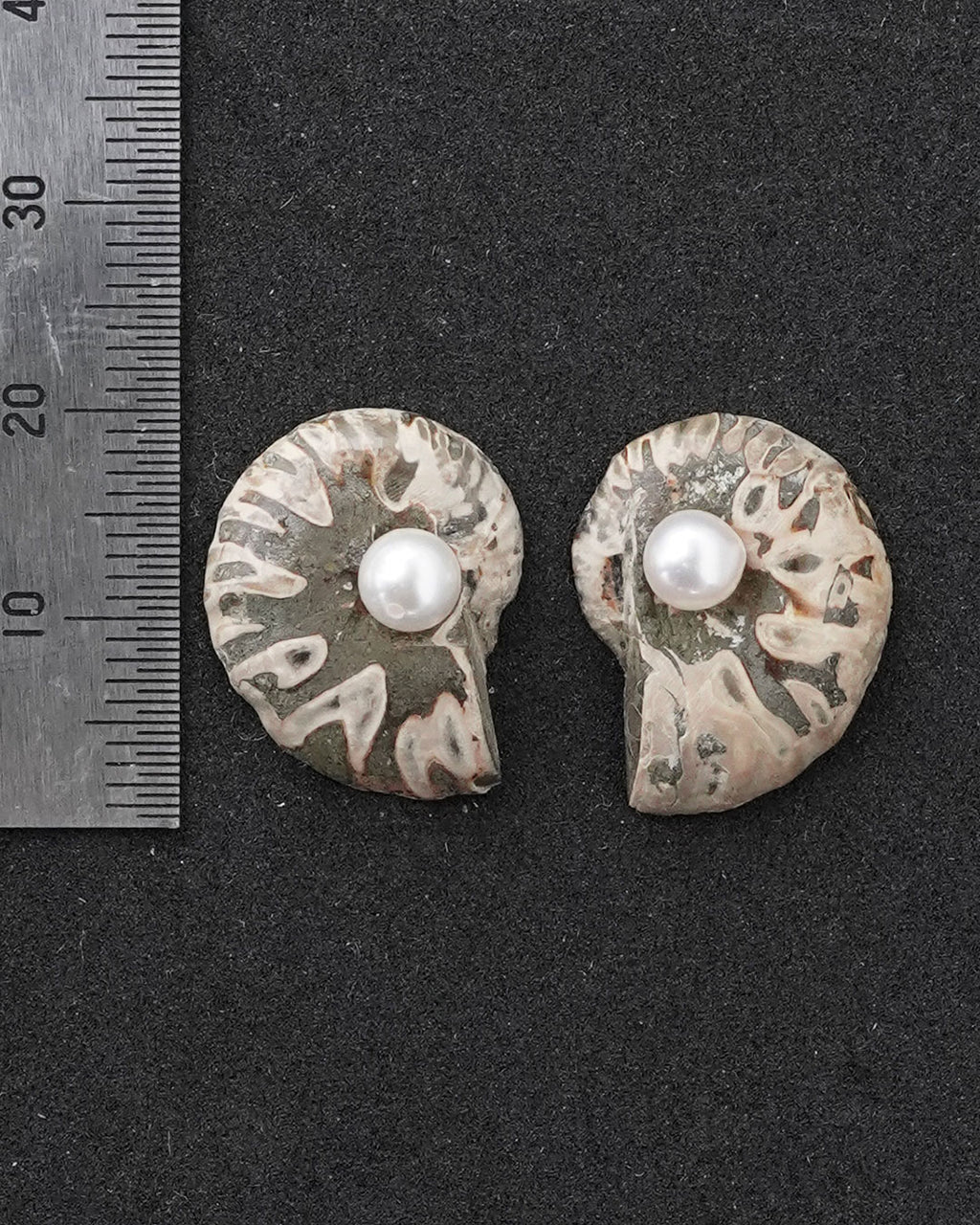 ammonite akoya pierce