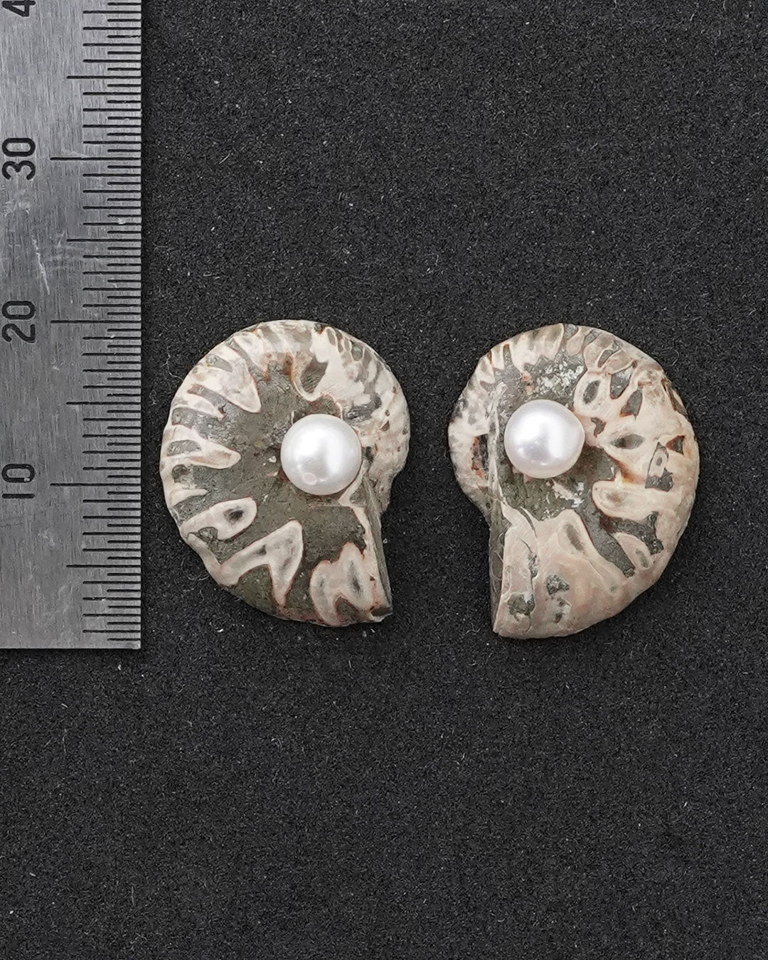 ammonite akoya pierce