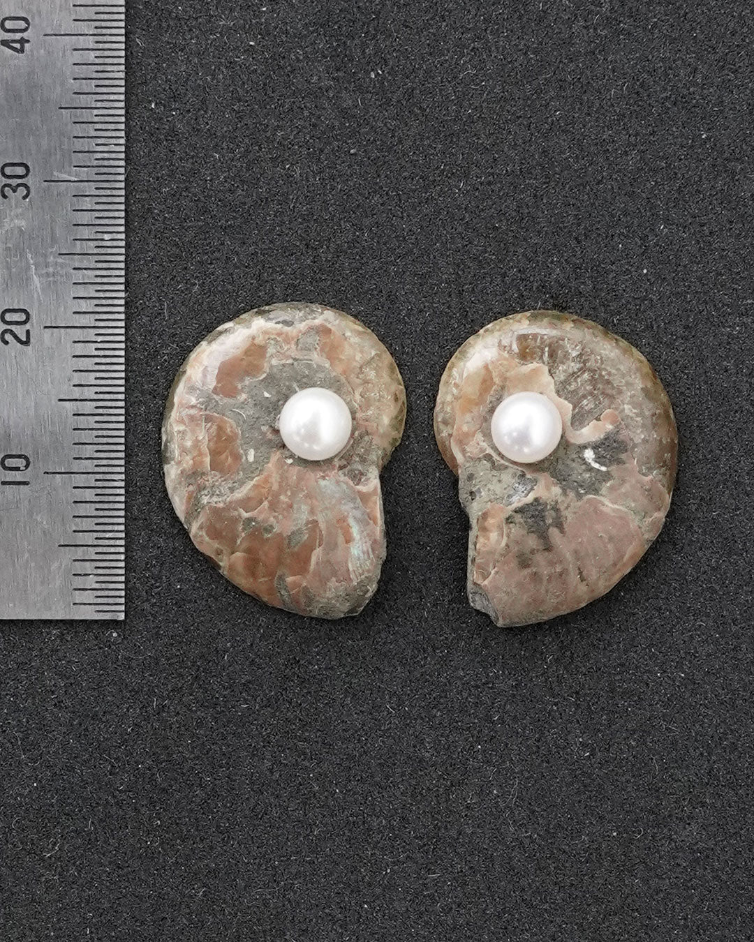 ammonite akoya pierce