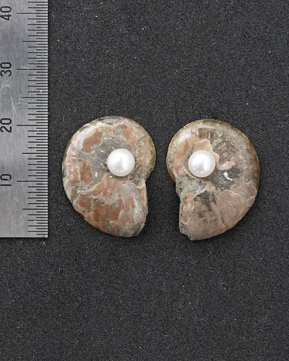 ammonite akoya pierce