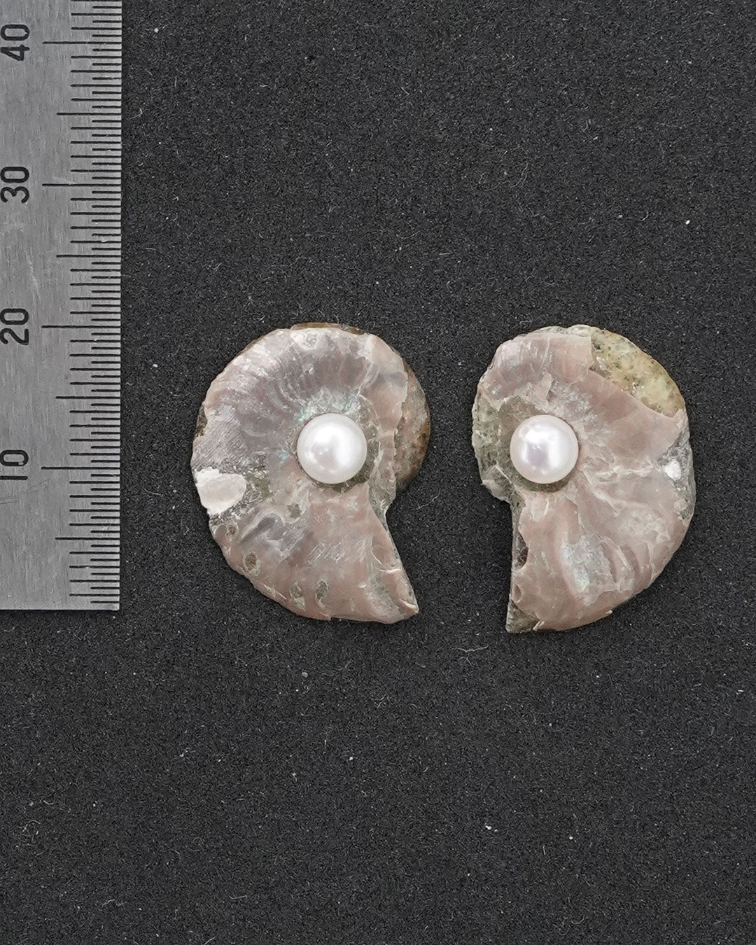 ammonite akoya pierce