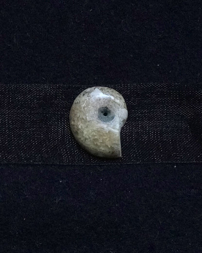 ammonite akoya ribon choker