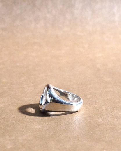 nous ring SV